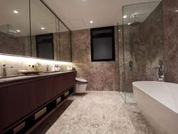 Kopar At Newton (D9), Apartment #566113561